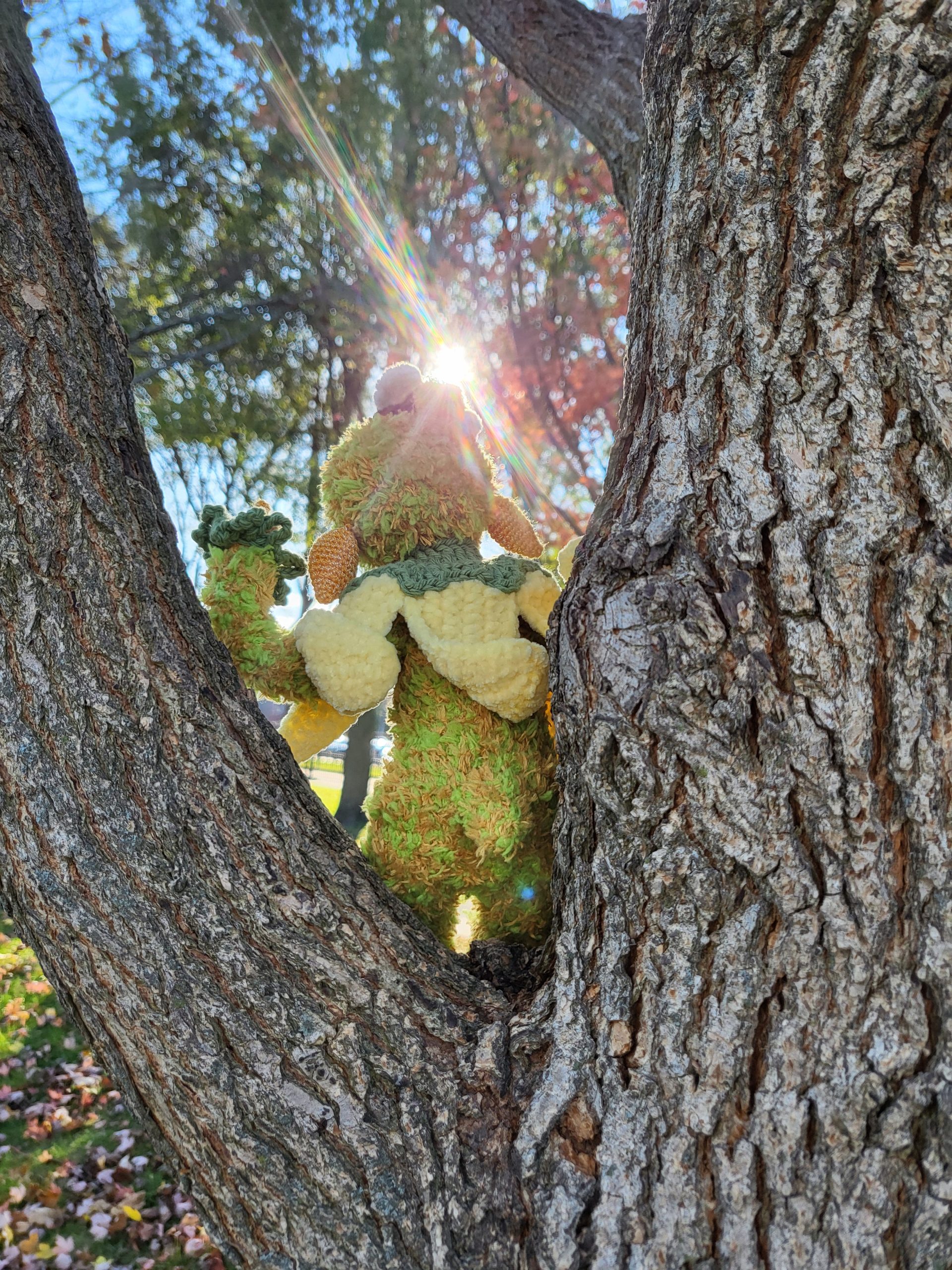 Ginkgo – the tree elf - Image 5