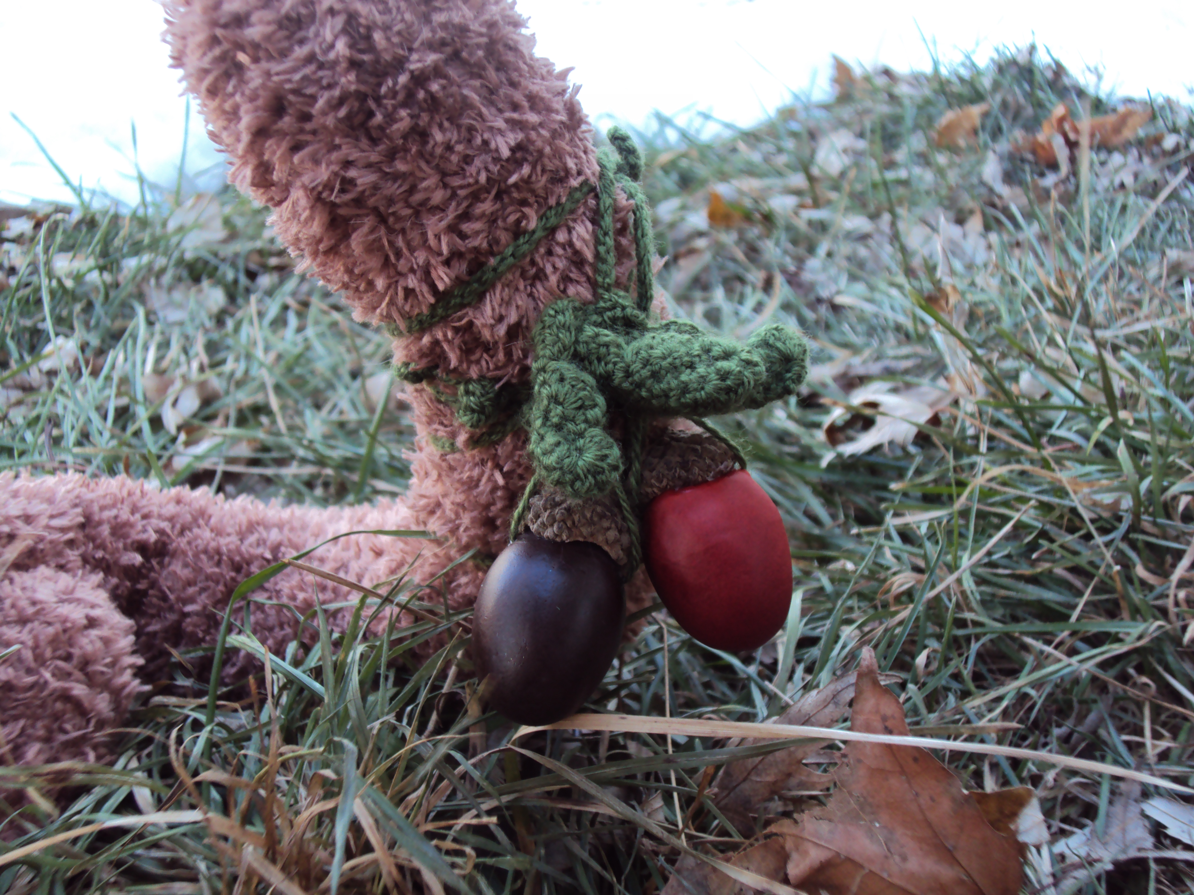 Pollen Puppies - Image 6