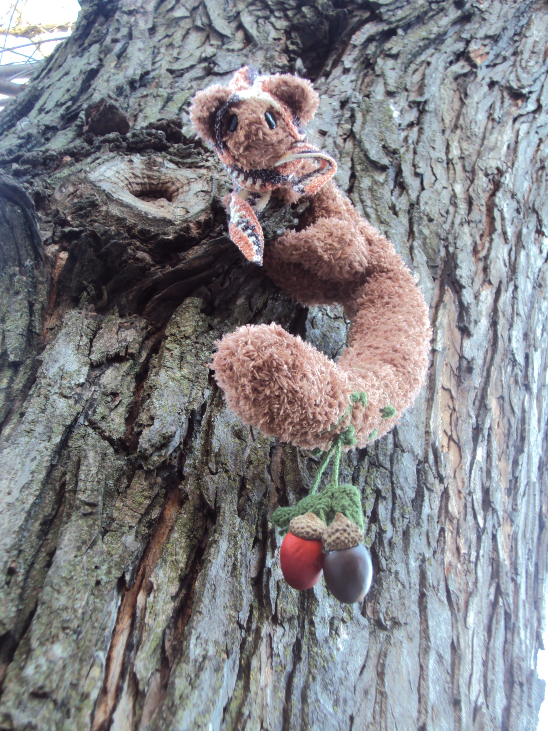 Pollen Puppies - Image 8