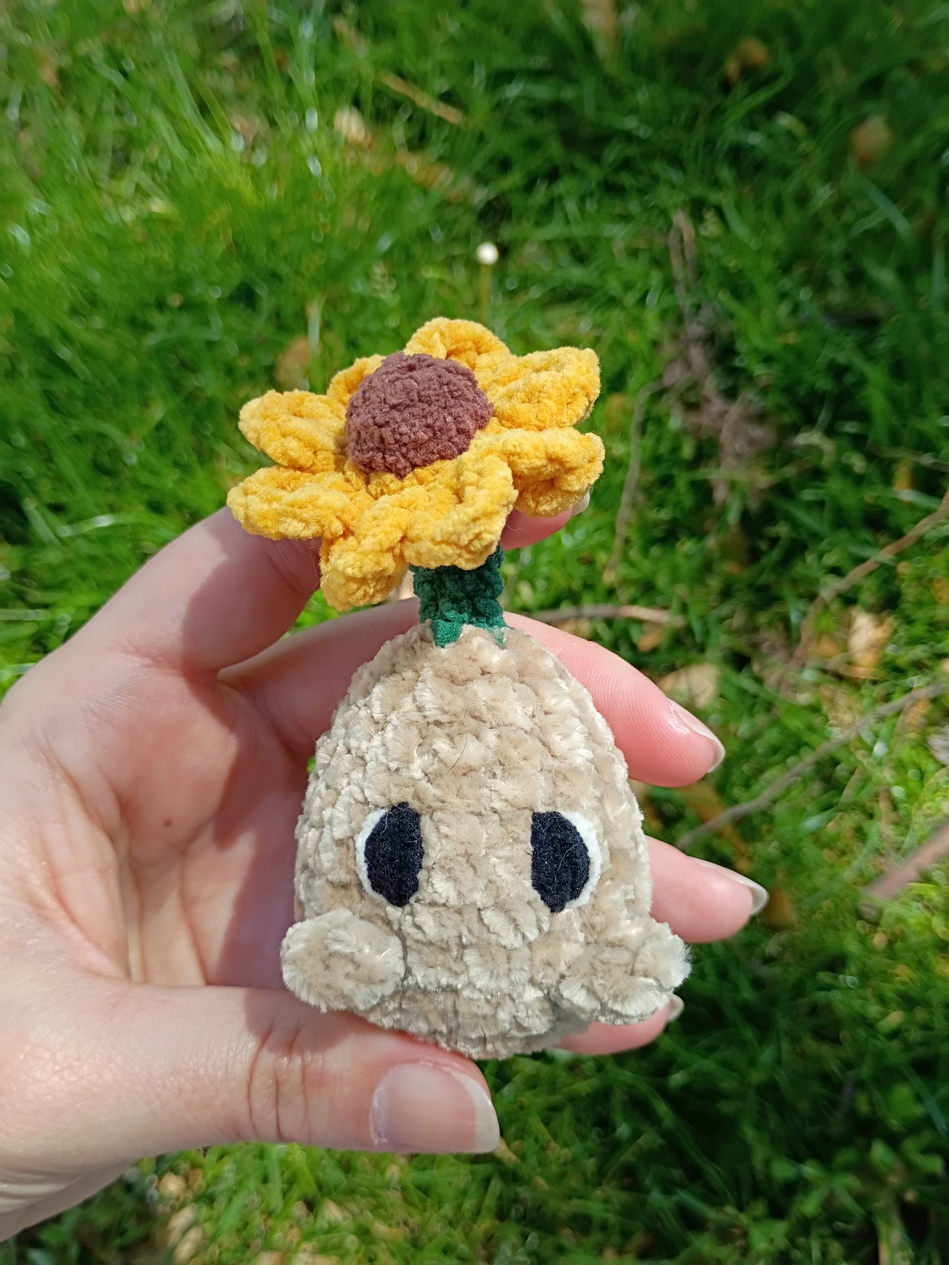 "Native Flowers" Sprouts